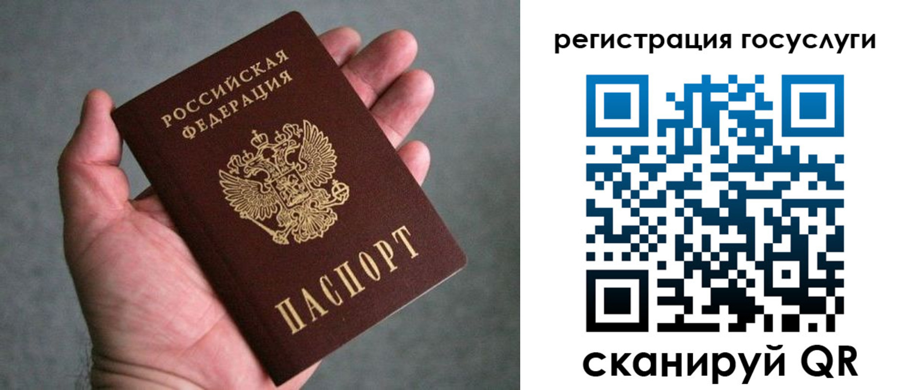 прописка поиск в Пущино